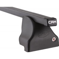CAM